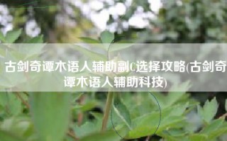 古剑奇谭木语人辅助副C选择攻略(古剑奇谭木语人辅助科技)