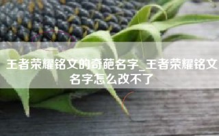 王者荣耀铭文的奇葩名字_王者荣耀铭文名字怎么改不了