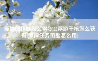 原神的钥匙怎么得-2022浮游干核怎么获得(原神任务钥匙怎么用)