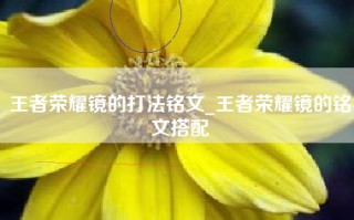 王者荣耀镜的打法铭文_王者荣耀镜的铭文搭配