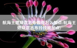 航海王燃烧意志布鲁克怎么加点(航海王燃烧意志布玲技能加点)