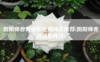 阴阳师赤月谜影吃鸡阵容推荐(阴阳师赤月谜影阵容)