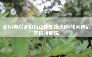 轮回再启罗伯特正线邪线攻略(轮回再启罗伯特血统)