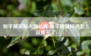 和平精英标点怎么弄(和平精英标点怎么设置不了)