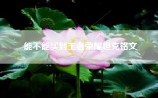 能不能买到王者荣耀坦克铭文