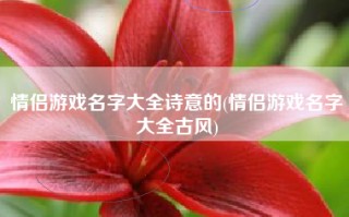 情侣游戏名字大全诗意的(情侣游戏名字大全古风)