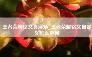 王者荣耀铭文真麻烦_王者荣耀铭文自定义怎么更换