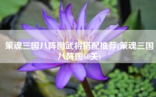 策魂三国八阵图武将搭配推荐(策魂三国八阵图60关)