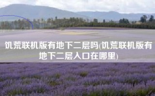 饥荒联机版有地下二层吗(饥荒联机版有地下二层入口在哪里)