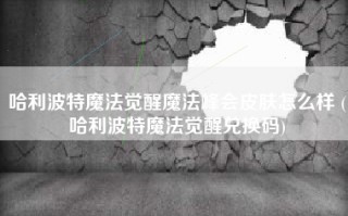 哈利波特魔法觉醒魔法峰会皮肤怎么样 (哈利波特魔法觉醒兑换码)
