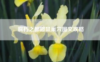 腐朽之都鼹鼠巢穴图文攻略