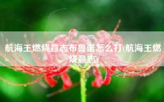 航海王燃烧意志布鲁诺怎么打(航海王燃烧意志)
