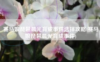 赛马娘琵琶晨光育成事件选择攻略(赛马娘琵琶晨光育成事件)