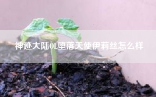神迹大陆OL堕落天使伊莉丝怎么样