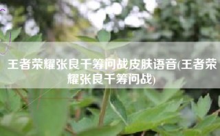 王者荣耀张良千筹问战皮肤语音(王者荣耀张良千筹问战)