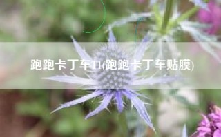 跑跑卡丁车T1(跑跑卡丁车贴膜)