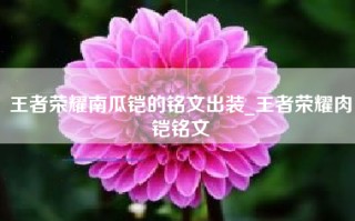 王者荣耀南瓜铠的铭文出装_王者荣耀肉铠铭文