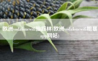 欧洲vodafonewifi仙踪林(欧洲vodafonewifi粗暴app网站)