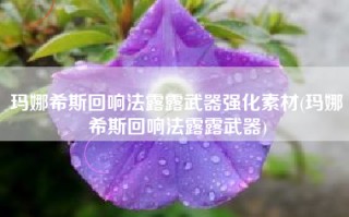 玛娜希斯回响法露露武器强化素材(玛娜希斯回响法露露武器)