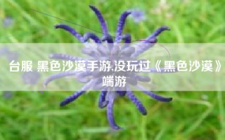 台服 黑色沙漠手游,没玩过《黑色沙漠》端游