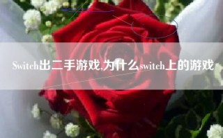 Switch出二手游戏,为什么switch上的游戏