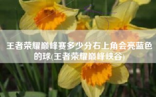 王者荣耀巅峰赛多少分右上角会亮蓝色的球(王者荣耀巅峰峡谷)