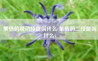 蒙恬的被动技能叫什么(蒙恬的二技能叫什么)