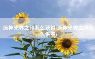 原神光界之印怎么获得(原神光界之印怎么供奉)