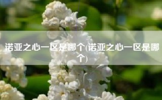 诺亚之心一区是哪个(诺亚之心一区是哪个)
