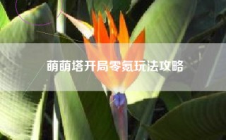 萌萌塔开局零氪玩法攻略
