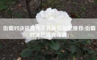 街霸对决巴洛克平民阵容搭配推荐(街霸对决巴洛克斗魂)