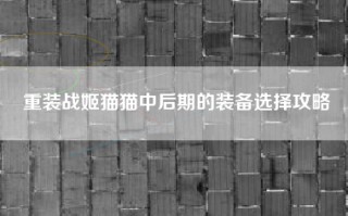 重装战姬猫猫中后期的装备选择攻略
