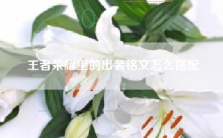 王者荣耀里的出装铭文怎么搭配