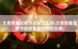王者荣耀花朝节皮肤怎么样(王者荣耀花朝节皮肤宝箱兑换后在哪)