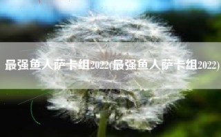 最强鱼人萨卡组2022(最强鱼人萨卡组2022)