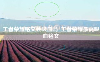 王者荣耀铭文会吸血吗_王者荣耀最高吸血铭文
