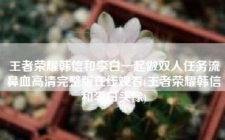 王者荣耀韩信和李白一起做双人任务流鼻血高清完整版在线观看(王者荣耀韩信和李白头像)