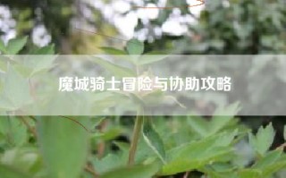 魔城骑士冒险与协助攻略