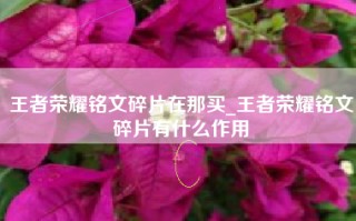 王者荣耀铭文碎片在那买_王者荣耀铭文碎片有什么作用
