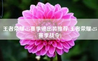 王者荣耀s25赛季镜出装推荐(王者荣耀s25赛季战令)