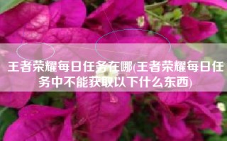 王者荣耀每日任务在哪(王者荣耀每日任务中不能获取以下什么东西)