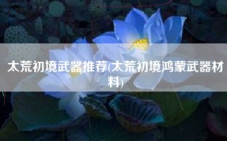 太荒初境武器推荐(太荒初境鸿蒙武器材料)