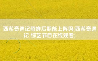 西游奇遇记貂蝉后期能上阵吗(西游奇遇记 综艺节目在线观看)