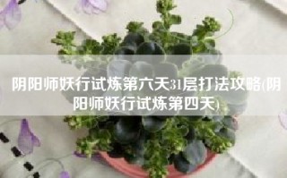 阴阳师妖行试炼第六天31层打法攻略(阴阳师妖行试炼第四天)