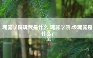 魂器学院魂武是什么(魂器学院s级魂器是什么)