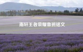 雨轩王者荣耀鲁班铭文
