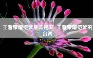 王者荣耀铠爹暴击铭文_王者荣耀铠爹的台词