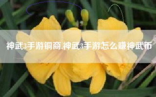 神武3手游铜商,神武3手游怎么赚神武币