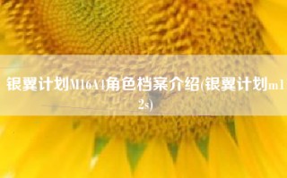 银翼计划M16A4角色档案介绍(银翼计划m12s)