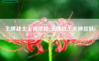 王牌战士火神攻略(王牌战士火神皮肤)